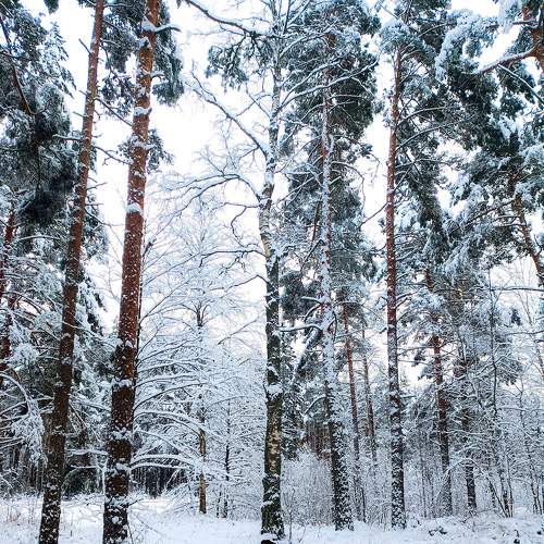 Photo #8562749