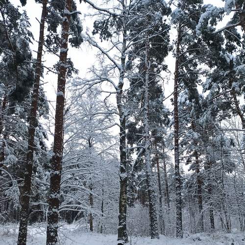 Photo #8562772