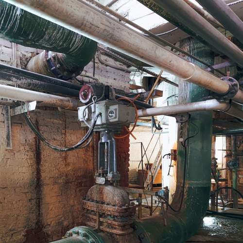 Photo #8562951