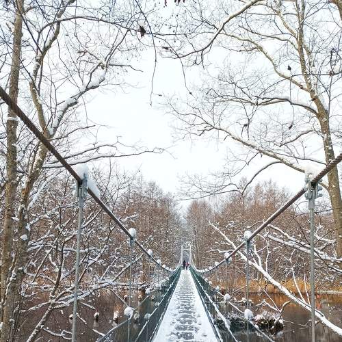 Photo #8562985