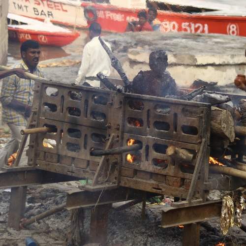 Photo #8563683