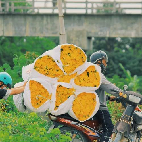 Photo #8563778