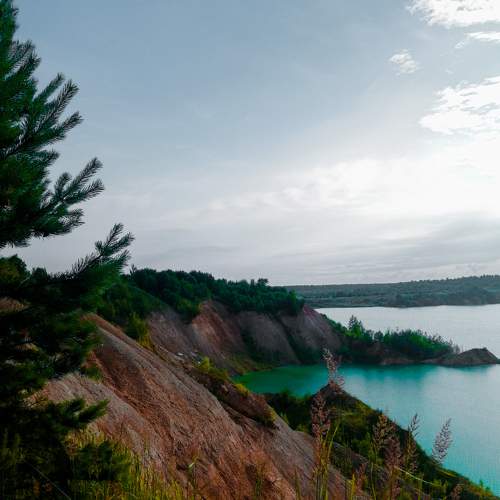 Photo #8563913