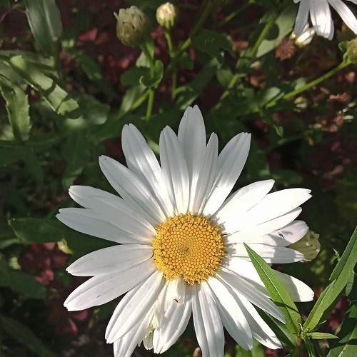 Photo #8564315