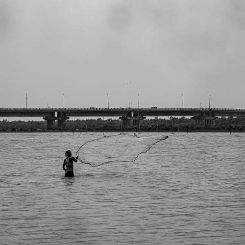 Photo #8564394