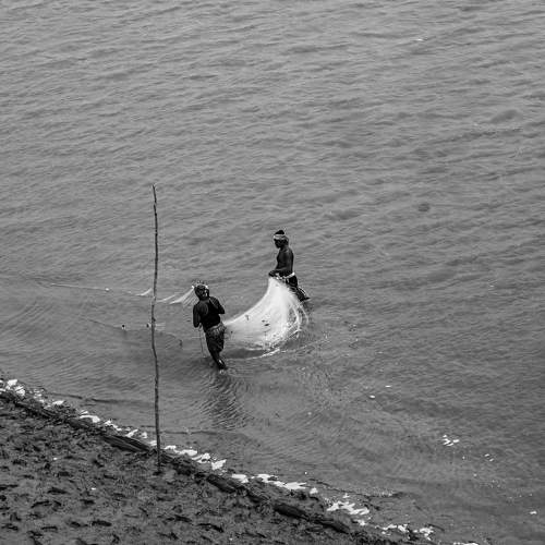 Photo #8564396