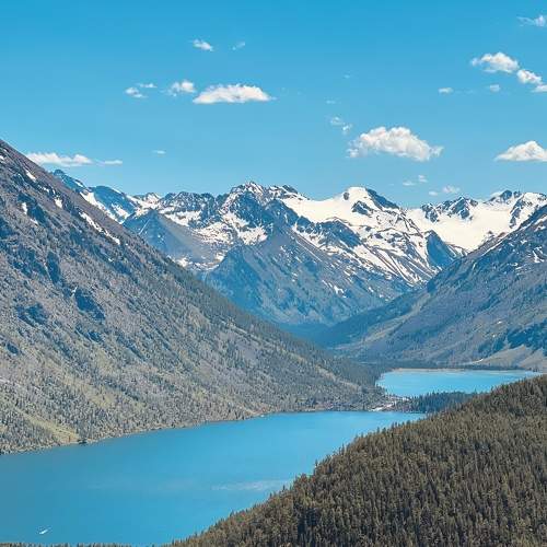 Photo #8564685