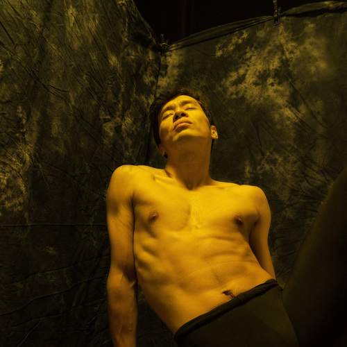 Photo #8564756