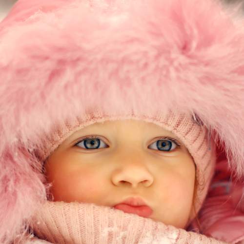 Photo #8564935