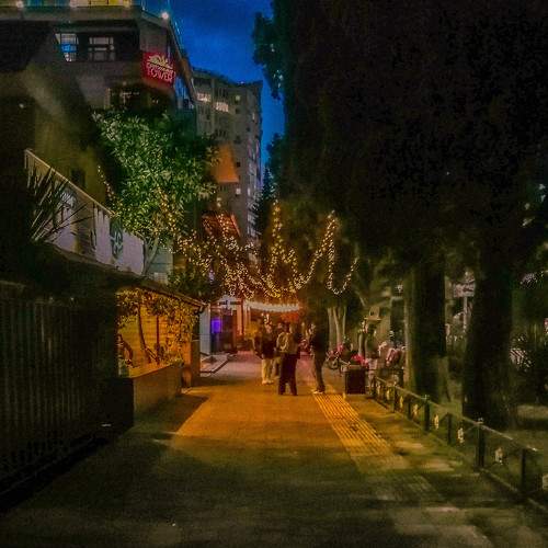 Photo #8564982