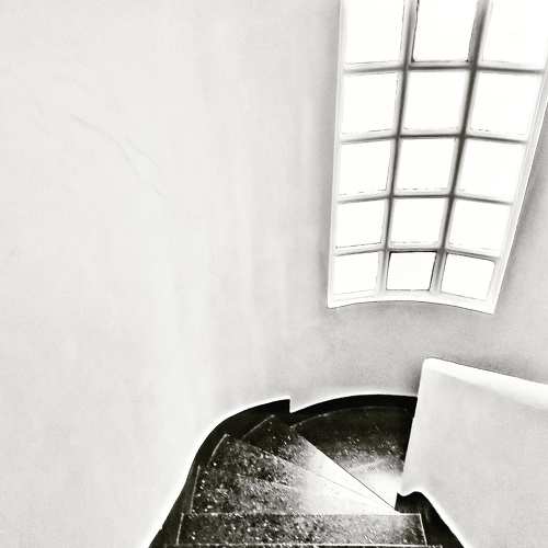 Photo #8565029