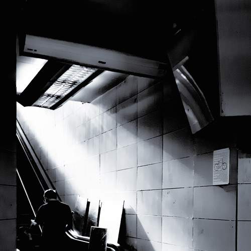 Photo #8565067