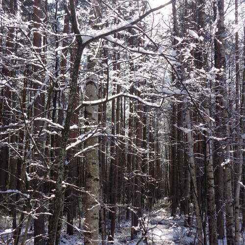 Photo #8565214