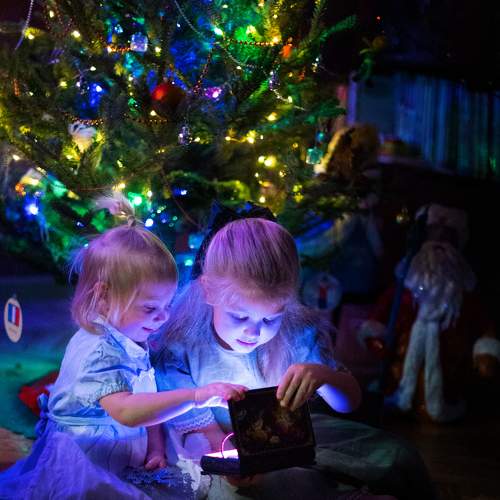 Photo #8565348