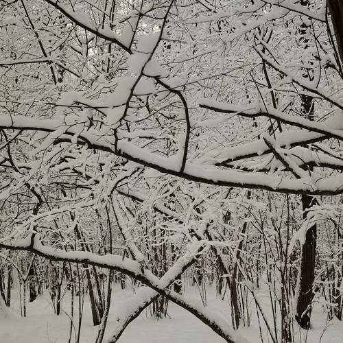Photo #8565640