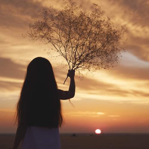 Photo #8565696
