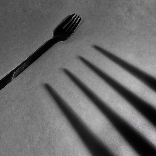 Photo #8565751