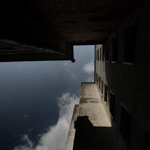 Photo #8565880