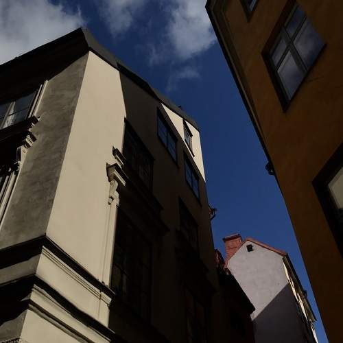 Photo #8565881