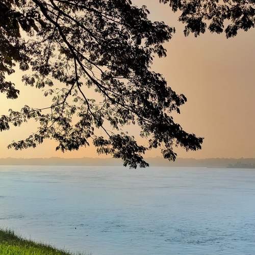 Photo #8565961