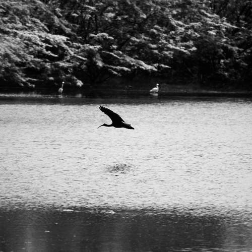 Photo #8566064