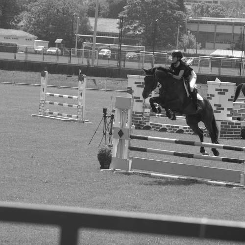 Photo #8566504