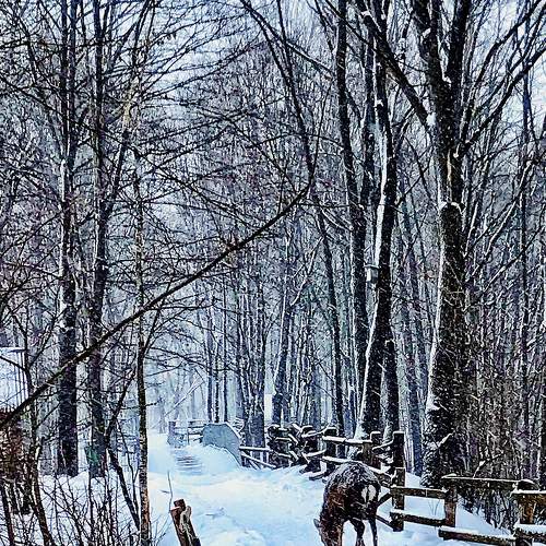 Photo #8566514