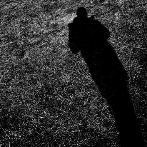 Photo #8566610