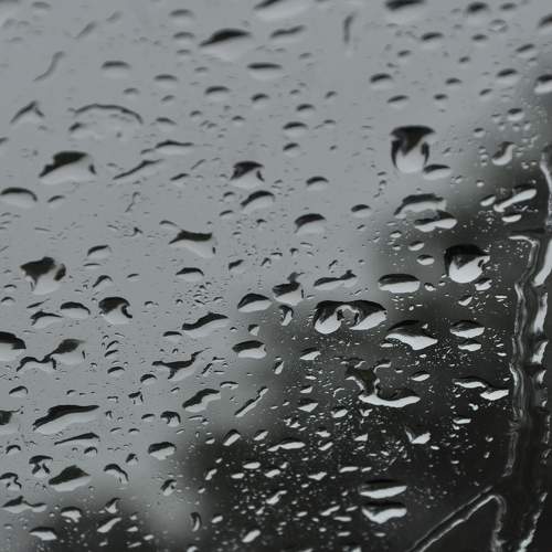 Photo #8566649