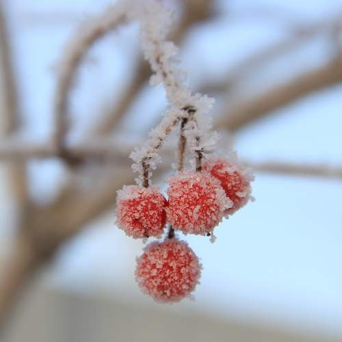 Photo #8566666