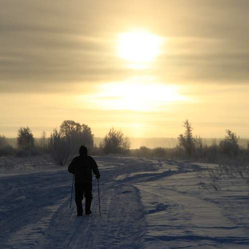 Photo #8566667