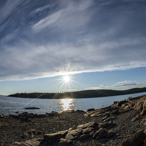 Photo #8566680