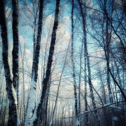 Photo #8566941