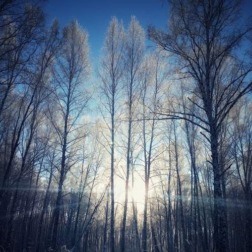 Photo #8566946