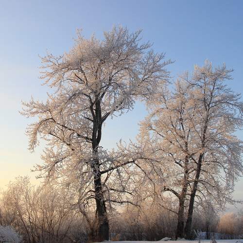 Photo #8567062