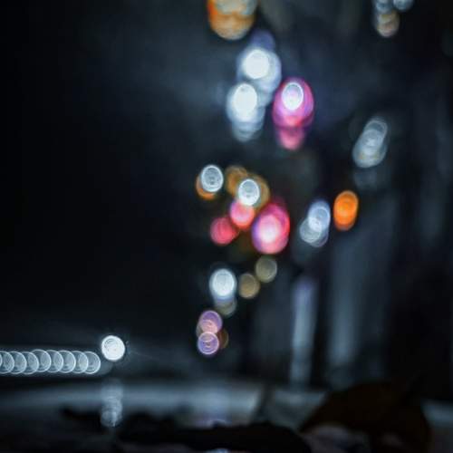 Photo #8567148