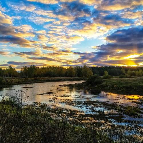 Photo #8567240