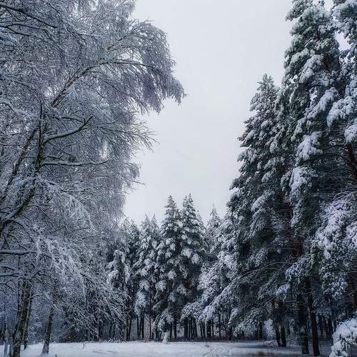 Photo #8567245