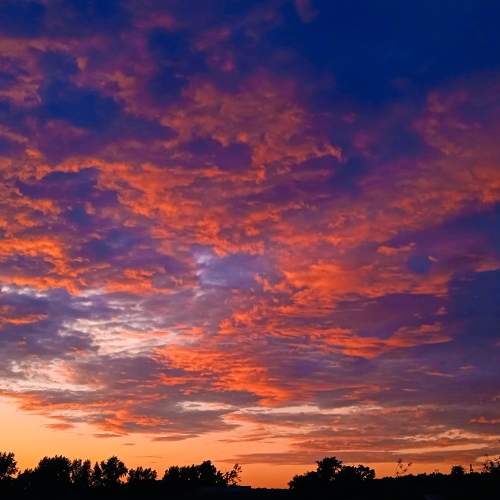 Photo #8567289