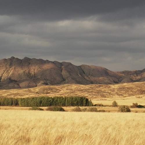 Photo #8567599