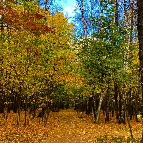 Photo #8567838