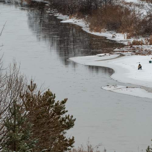 Photo #8567960