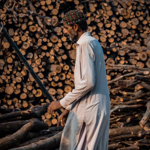 Photo #8568166