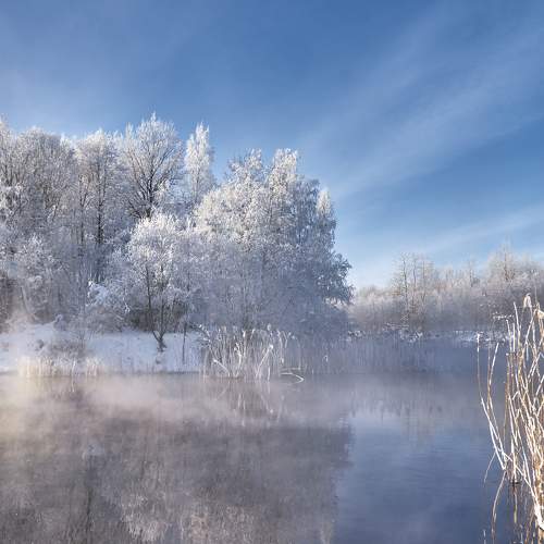 Photo #8568178