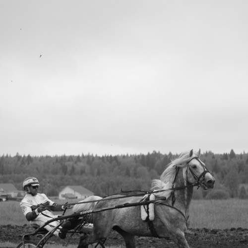 Photo #8568480