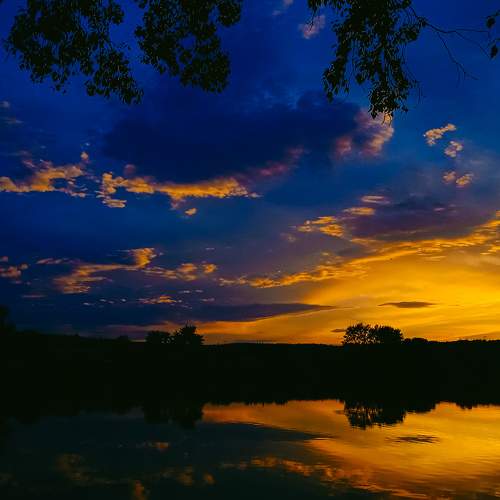 Photo #8568487