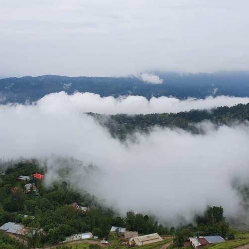 Photo #8568711
