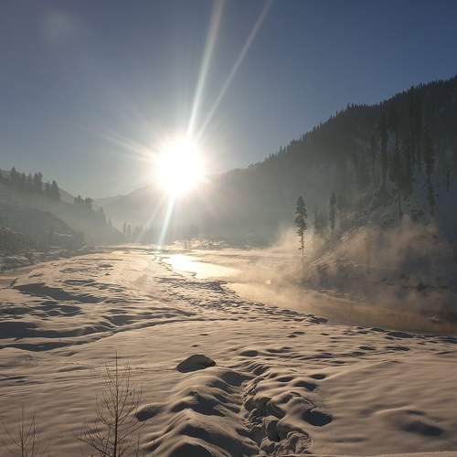 Photo #8568848