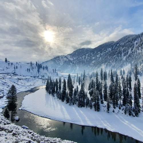 Photo #8568861