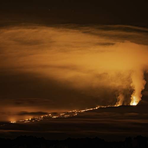 Photo #8568970
